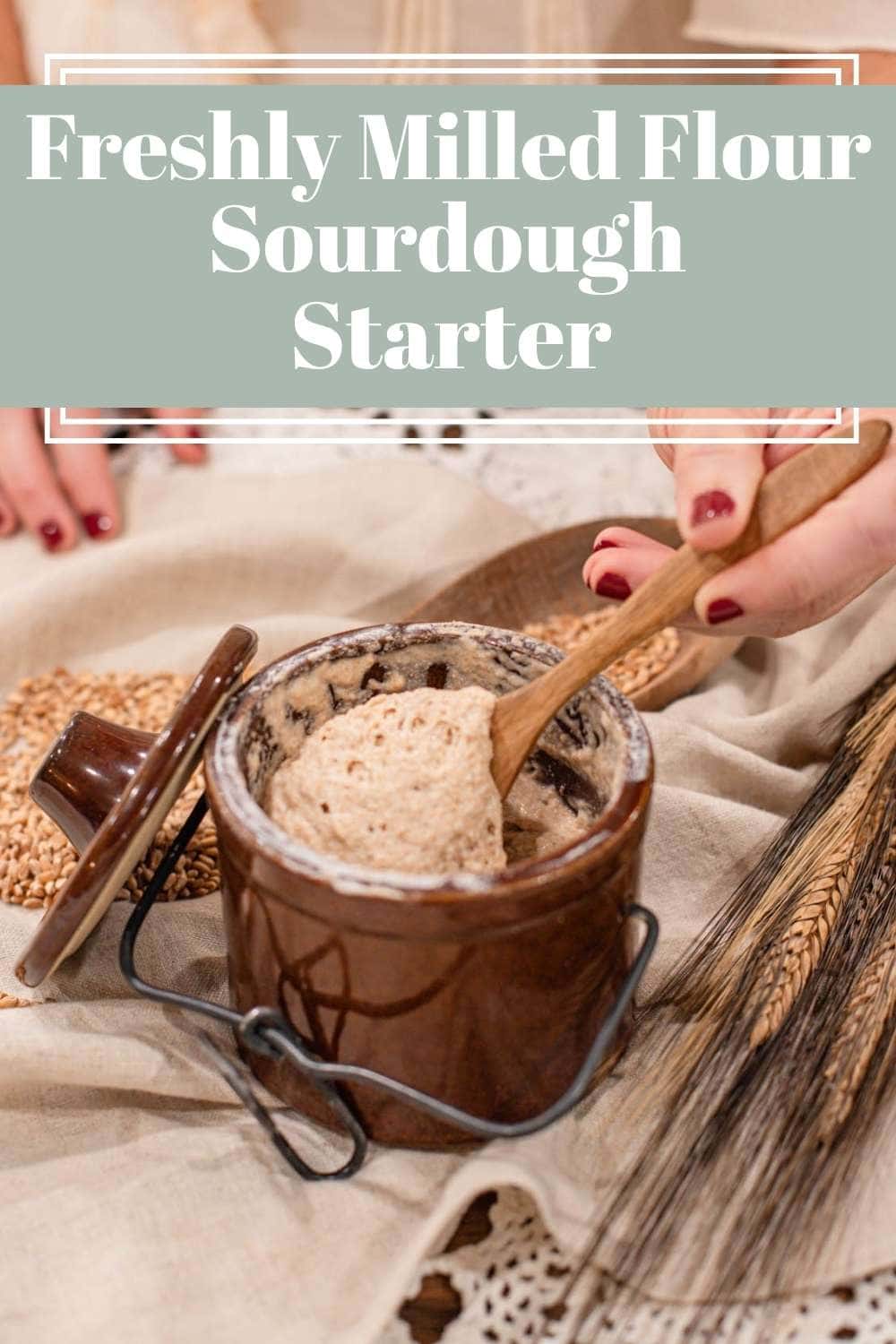 Sourdough starter in ceramic jar with wooden spoon and wheat berries on table, design with text about freshly milled flour sourdough starter