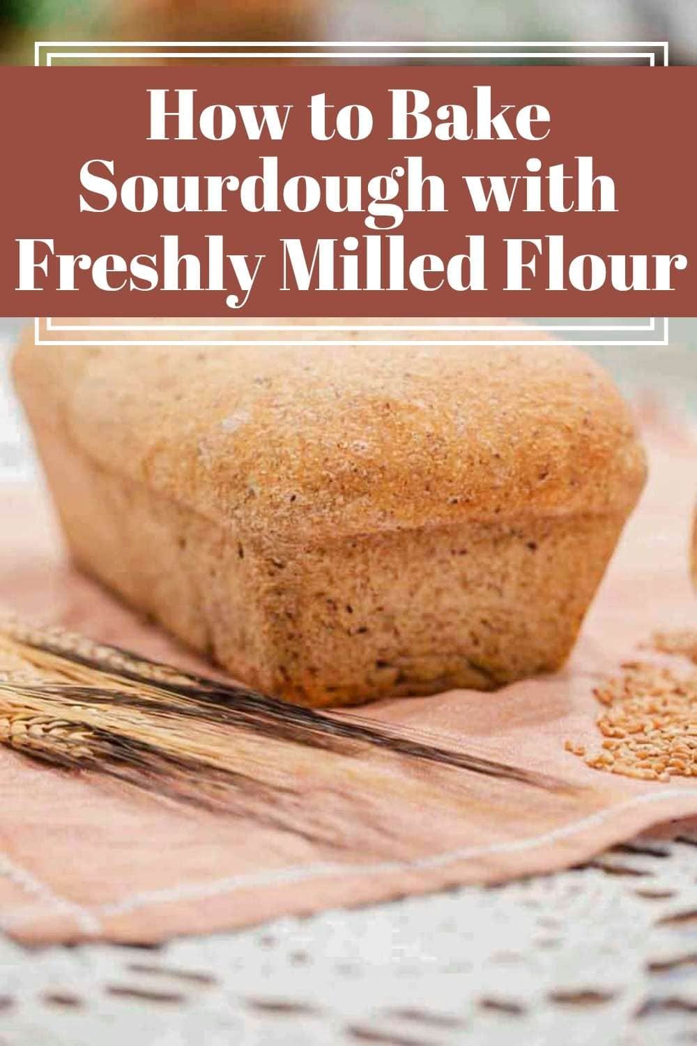 Freshly baked sourdough loaf on cloth with wheat stalks, design with text about how to bake sourdough with freshly milled flour