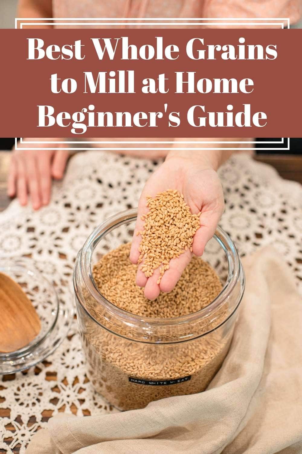 Hard white wheat berries held in hand over glass storage jar on cottage kitchen table, design with text about best whole grains to mill at home beginner guide