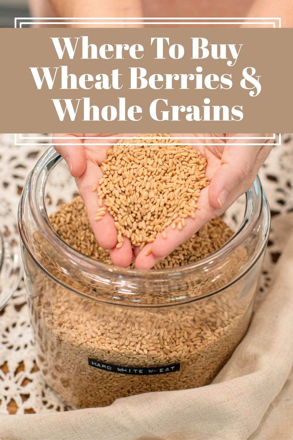 Hard white wheat berries scooped by hand above labeled glass jar on table, design with text about where to buy wheat berries and whole grains for home milling