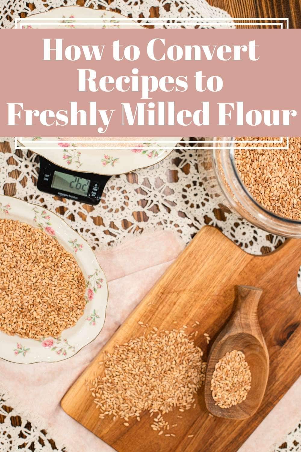 Wheat berries scattered on wooden board with scoop and kitchen scale on cottage table, design with text about how to convert recipes to freshly milled flour